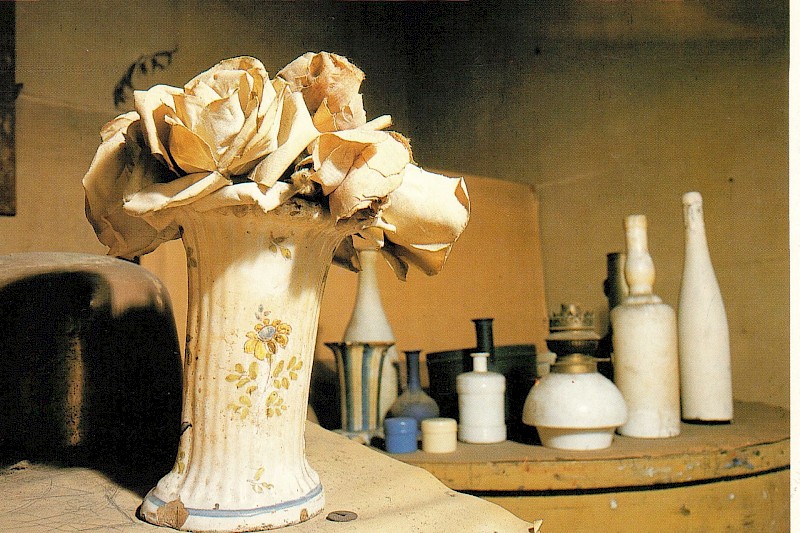 Miniatura immagine